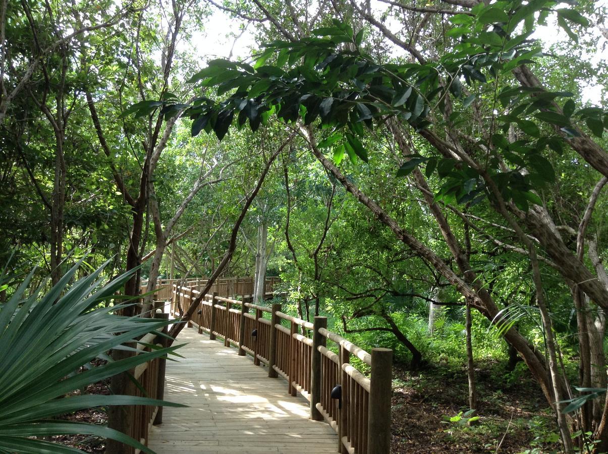 Suites At Mayan Palace Vidanta Resort Riviera Maya Playa Paraiso ภายนอก รูปภาพ
